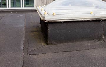 disadvantages of Reasby flat roofs